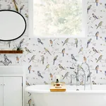 Brewster Home Fashions Birdsong Orange Trail Wallpaper | Wallpaper Twins Brewster Home Fashions Birdsong Orange Trail Wallpaper - SKU 3124-13851