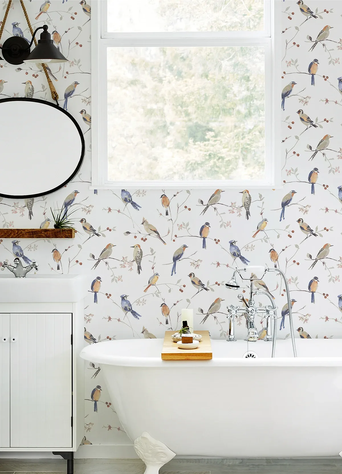 Brewster Home Fashions Birdsong Orange Trail Wallpaper | Wallpaper Twins Brewster Home Fashions Birdsong Orange Trail Wallpaper - SKU 3124-13851