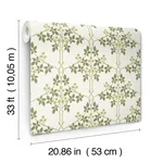 Brewster Home Fashions Blackberry Chartreuse Vine Trellis Wallpaper - SKU 4171-82053