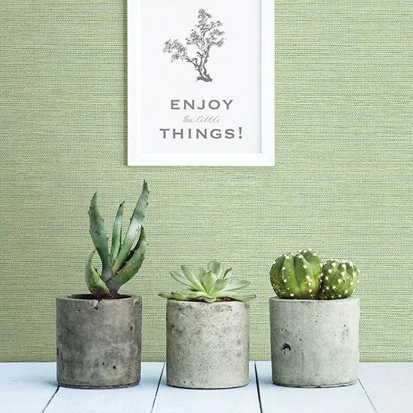 Brewster Home Fashions Bluestem Green Grasscloth Wallpaper | Wallpaper Twins Brewster Home Fashions Bluestem Green Grasscloth Wallpaper - SKU 2767-24284