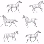 Brewster Home Fashions Burnett Off White Horses Wallpaper - SKU DD128807