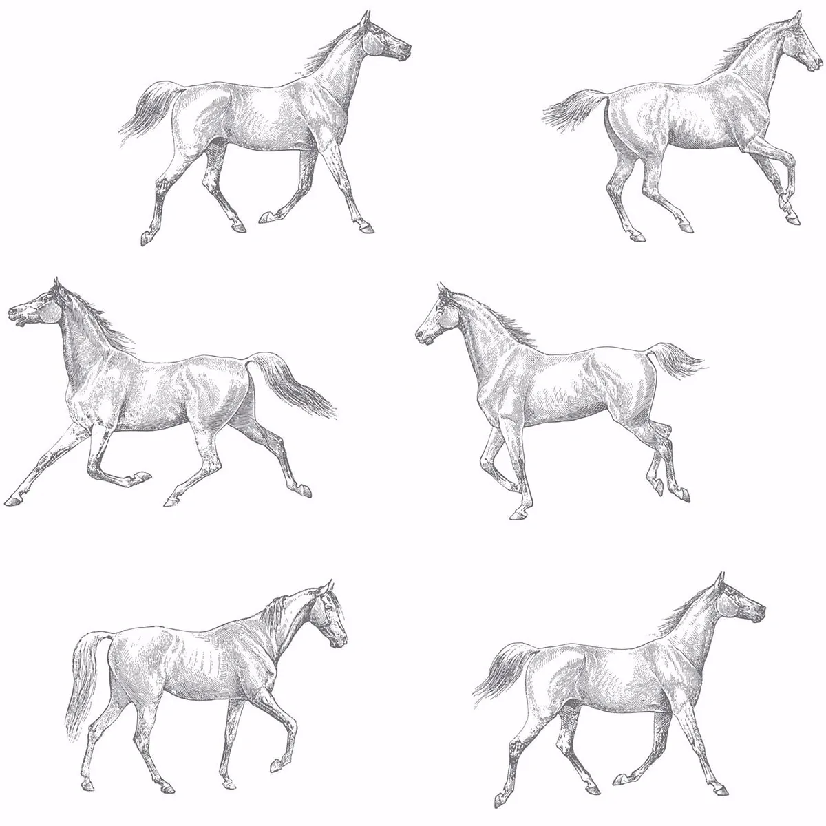 Brewster Home Fashions Burnett Off White Horses Wallpaper - SKU DD128807