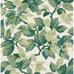 Brewster Home Fashions Canopy Green Leaf Wallpaper | Wallpaper Twins Brewster Home Fashions Canopy Green Leaf Wallpaper - SKU 4164-M1804