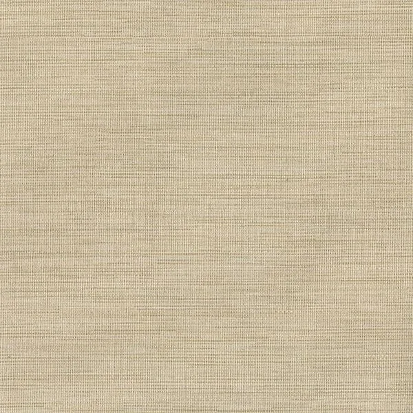 2807-6066 | Cape Town Beige Faux Silk Wallpaper