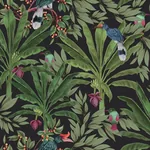 Brewster Home Fashions Carola Black Jungle Tropics Wallpaper | Wallpaper Twins Brewster Home Fashions Carola Black Jungle Tropics Wallpaper - SKU DD139190
