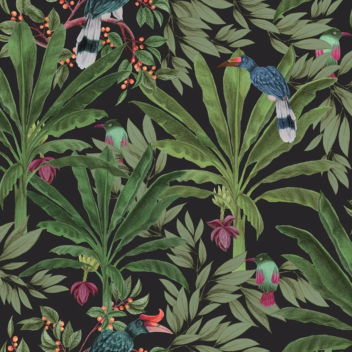 DD139190 | Carola Black Jungle Tropics Wallpaper