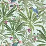 Brewster Home Fashions Carola Green Jungle Tropics Wallpaper | Wallpaper Twins Brewster Home Fashions Carola Green Jungle Tropics Wallpaper - SKU DD139189