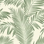 Brewster Home Fashions Cecil Green Tropical Wallpaper | Wallpaper Twins Brewster Home Fashions Cecil Green Tropical Wallpaper - SKU AH694800