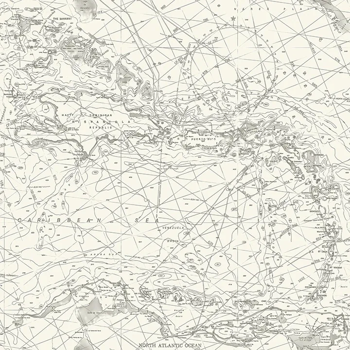 4071-71055 | Charts Black Nautical Chart Wallpaper