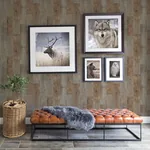 Brewster Home Fashions Chebacco Brown Wooden Planks Wallpaper - SKU 3123-12693