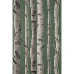 Brewster Home Fashions Chester Dark Green Birch Trees Wallpaper - SKU FD43292