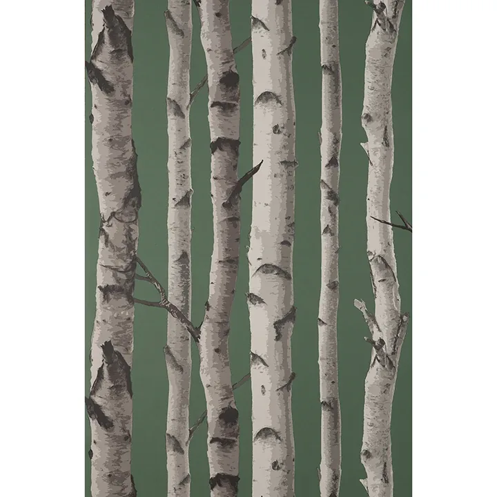 Brewster Home Fashions Chester Dark Green Birch Trees Wallpaper - SKU FD43292