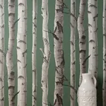 Brewster Home Fashions Chester Dark Green Birch Trees Wallpaper - SKU FD43292