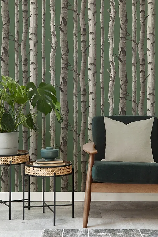 Brewster Home Fashions Chester Dark Green Birch Trees Wallpaper - SKU FD43292