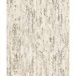 Brewster Home Fashions Colm Beige Birch Wallpaper - SKU 4096-554052