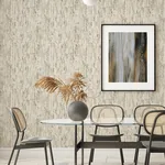 Brewster Home Fashions Colm Beige Birch Wallpaper - SKU 4096-554052