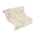 Brewster Home Fashions Colm Beige Birch Wallpaper - SKU 4096-554052