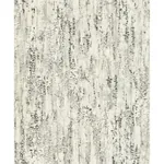 Brewster Home Fashions Colm Charcoal Birch Wallpaper - SKU 4096-554045