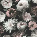 Brewster Home Fashions Contessa Blush Flowers Wallpaper - SKU DD139169