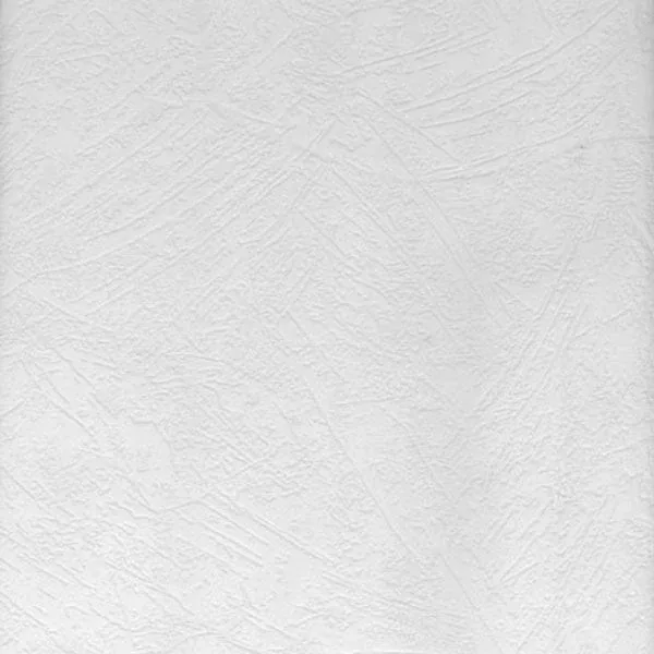 Brewster Home Fashions Crows Paintable Paintable Wallpaper - SKU 497-32818