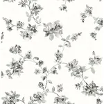 Brewster Home Fashions Cyrus Black Festive Floral Wallpaper - SKU 3115-24482