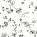 Brewster Home Fashions Cyrus Charcoal Festive Floral Wallpaper - SKU 3123-24482