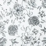 Brewster Home Fashions Della Black Floral Trail Wallpaper - SKU AH692507