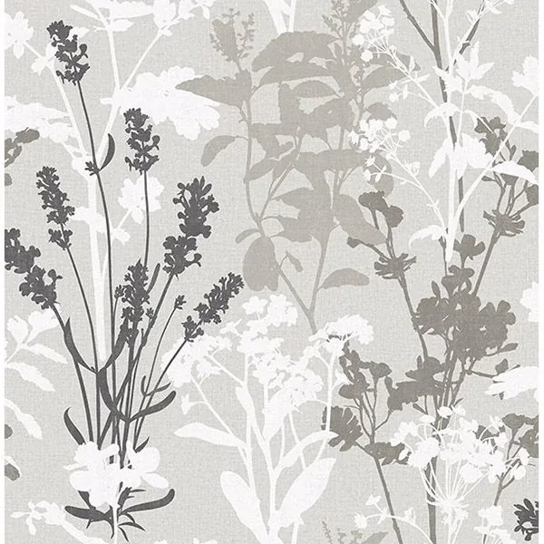 Brewster Home Fashions Desdemona Multicolor Floral Silhouettes Wallpaper - SKU 2836-24571