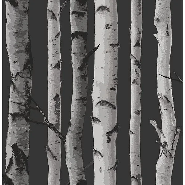 Brewster Home Fashions Distinctive Black Birch Tree Wallpaper - SKU 2900-31052