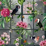 Brewster Home Fashions Dorothea Multicolor Tropical Birds Wallpaper - SKU AH924408