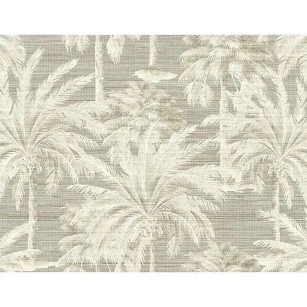 PS40006 | Dream Grey Texture Wallpaper