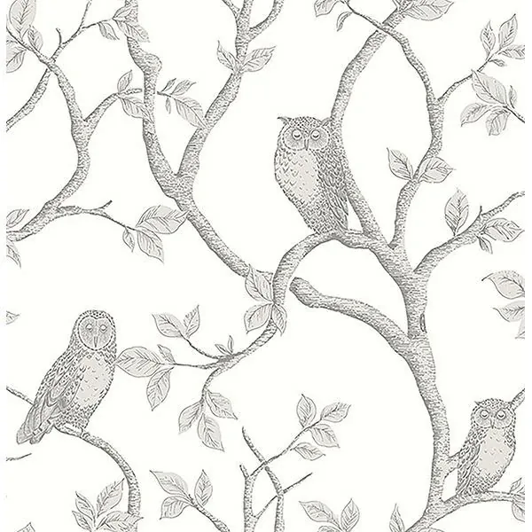 Brewster Home Fashions Enchanted Forest Grey Owl & Tree Wallpaper - SKU FD23289