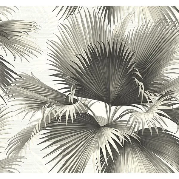 Brewster Home Fashions Endless Black Palm Wallpaper - SKU PS40100