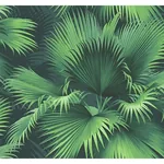 Brewster Home Fashions Endless Dark Green Palm Wallpaper - SKU PS40104