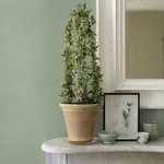 Brewster Home Fashions Estefan Green Distressed Texture Wallpaper - SKU 4044-37178-8