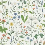 Brewster Home Fashions Fiore Green Wildflowers Wallpaper - SKU DD139390