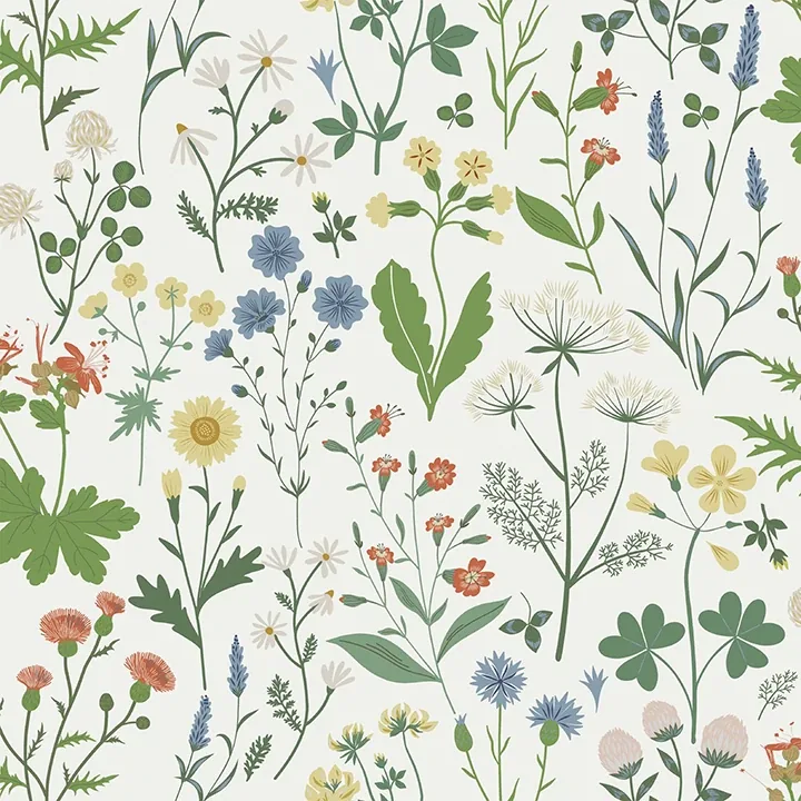 Brewster Home Fashions Fiore Green Wildflowers Wallpaper - SKU DD139390