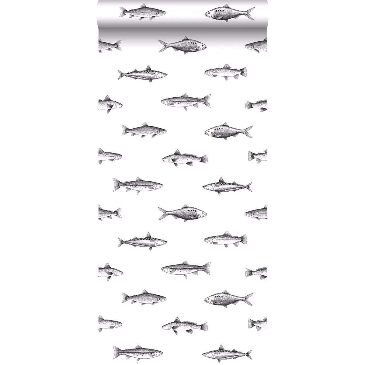 Brewster Home Fashions Fiyero Off White Fish Wallpaper - SKU DD138967