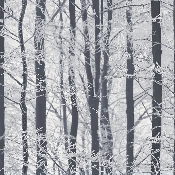 Brewster Home Fashions Frosted Silver Winter Grove Wallpaper - SKU AH670200