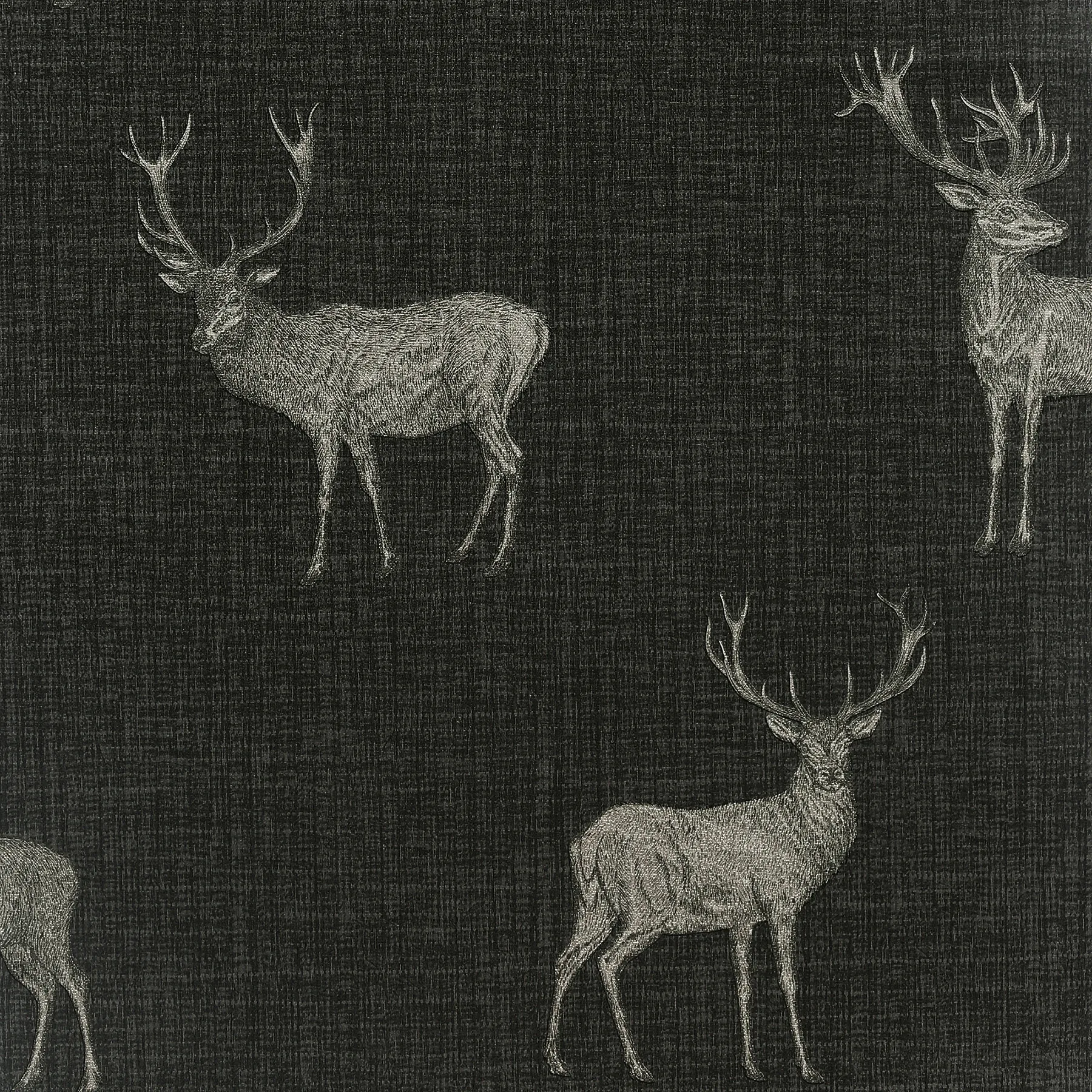 AH909607 | Hank Charcoal Stag Wallpaper