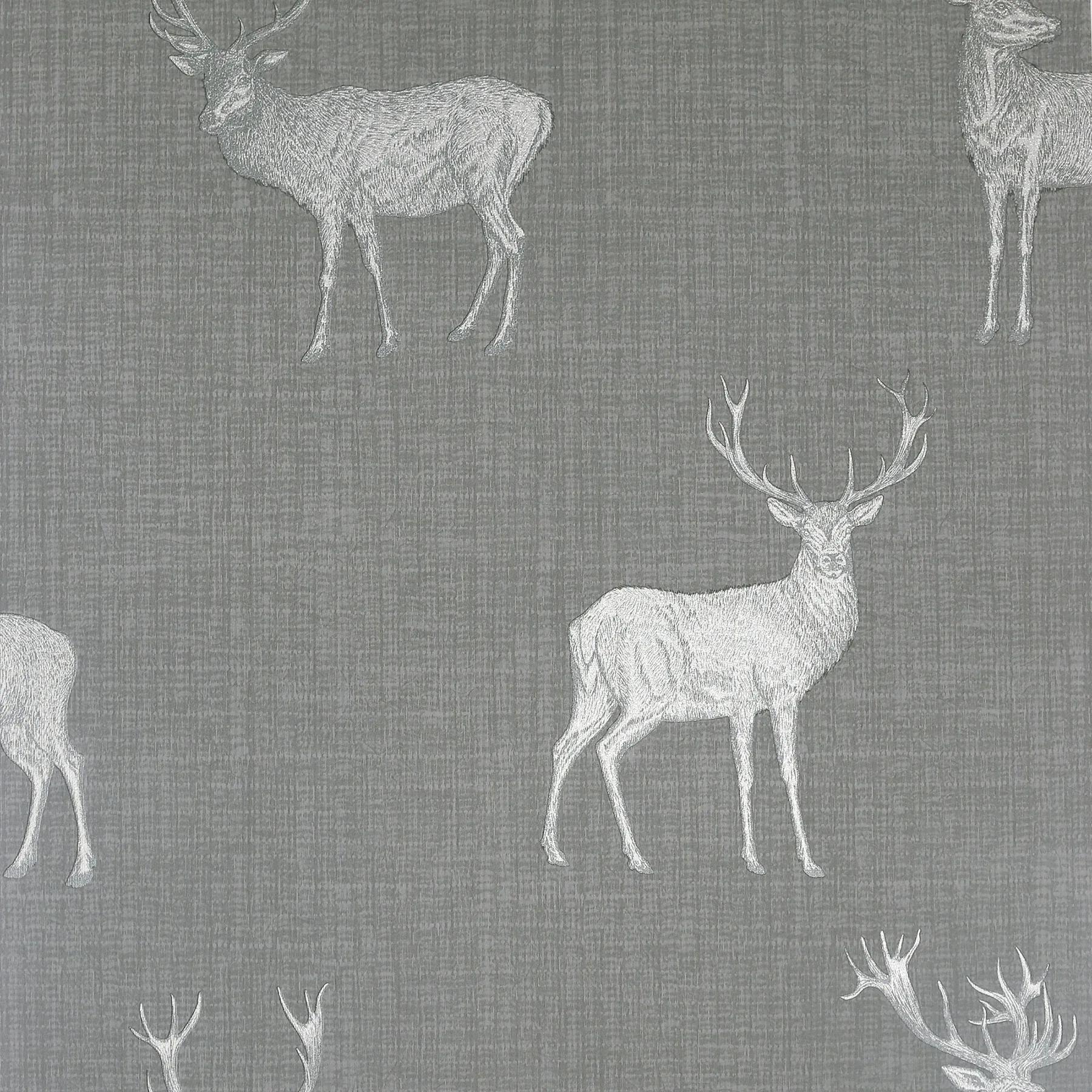 Brewster Home Fashions Hank Grey Stag Wallpaper - SKU AH909608