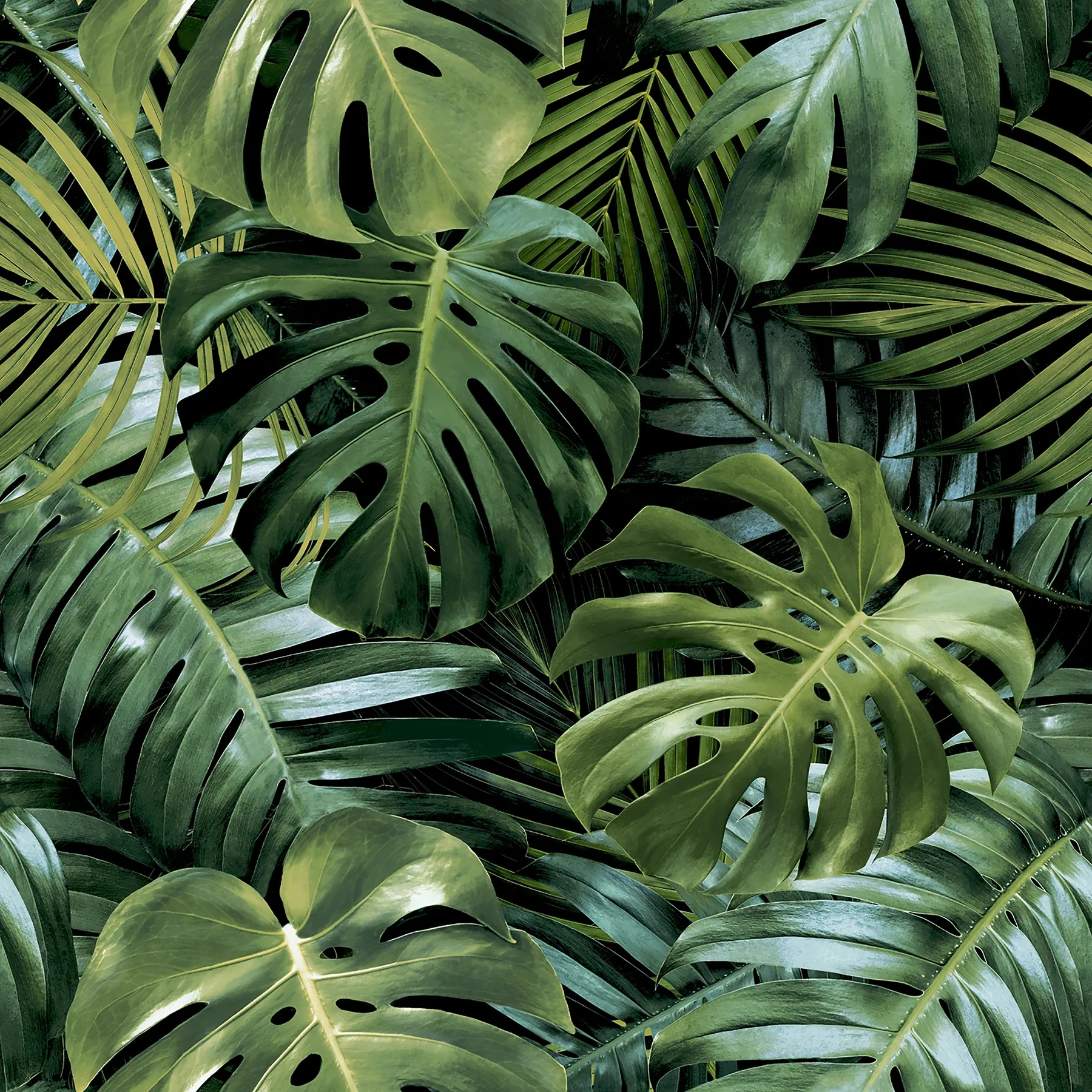 Brewster Home Fashions Harlynn Green Monstera Wallpaper - SKU AH924108