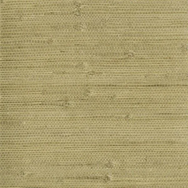 Brewster Home Fashions Heisoku Celery Paper Weave Wallpaper - SKU 2693-30212