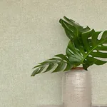 Brewster Home Fashions Homespun Green Textured Wallpaper - SKU 3125-72361