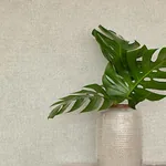 Brewster Home Fashions Homespun Grey Textured Wallpaper - SKU 3125-72360