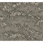 Brewster Home Fashions Hornbeam Brown Tree Wallpaper - SKU AS369725