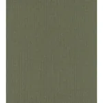 Brewster Home Fashions Hoshi Green Woven Wallpaper - SKU 4035-407945