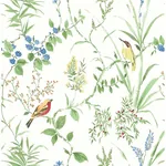 Brewster Home Fashions Imperial Garden Multicolor Botanical Wallpaper - SKU 3117-24173