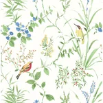 Brewster Home Fashions Imperial Garden Multicolor Botanical Wallpaper - SKU 3123-24173