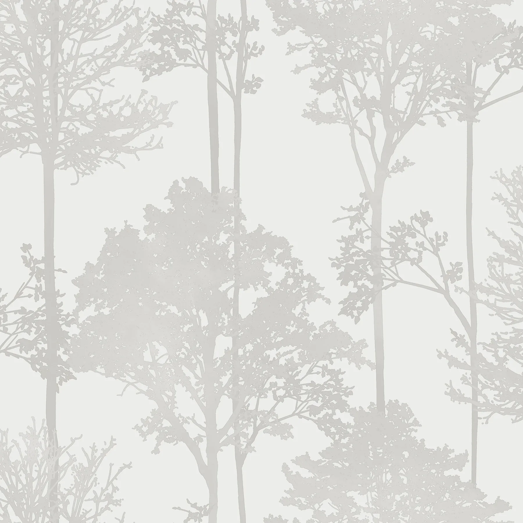 AH296102 | Indra Neutral Forest Silhouette Wallpaper